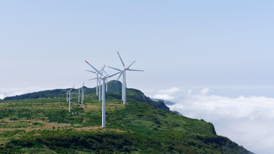 After Yet Another Manipulative Scheme by Toma Belev, the Truth About the Wind Farm Near Kyustendil Emerges